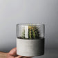 Stone & Glass Modern Cropped Glass Vase