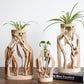 Modern Bamboo Hydroponic Vase