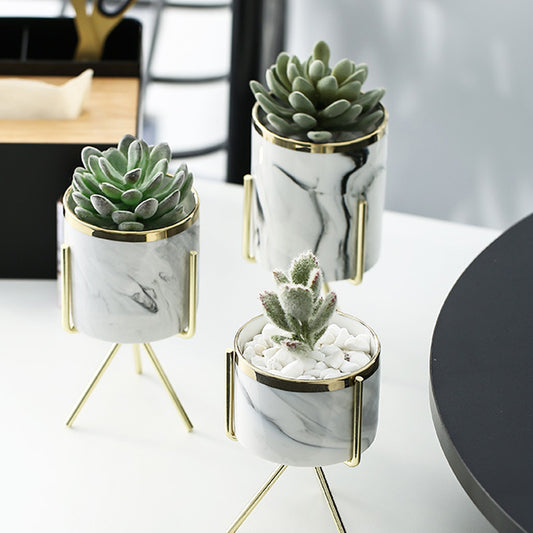 Luxe Gold Rim Marbled Pot