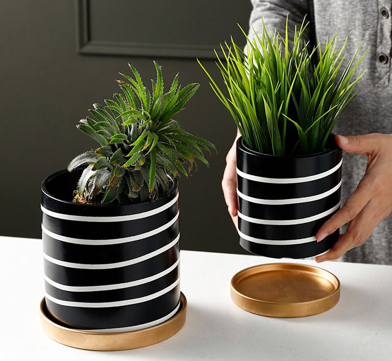 Modern Striped Flower Pot