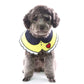 Dog Fashionable Pet Collar